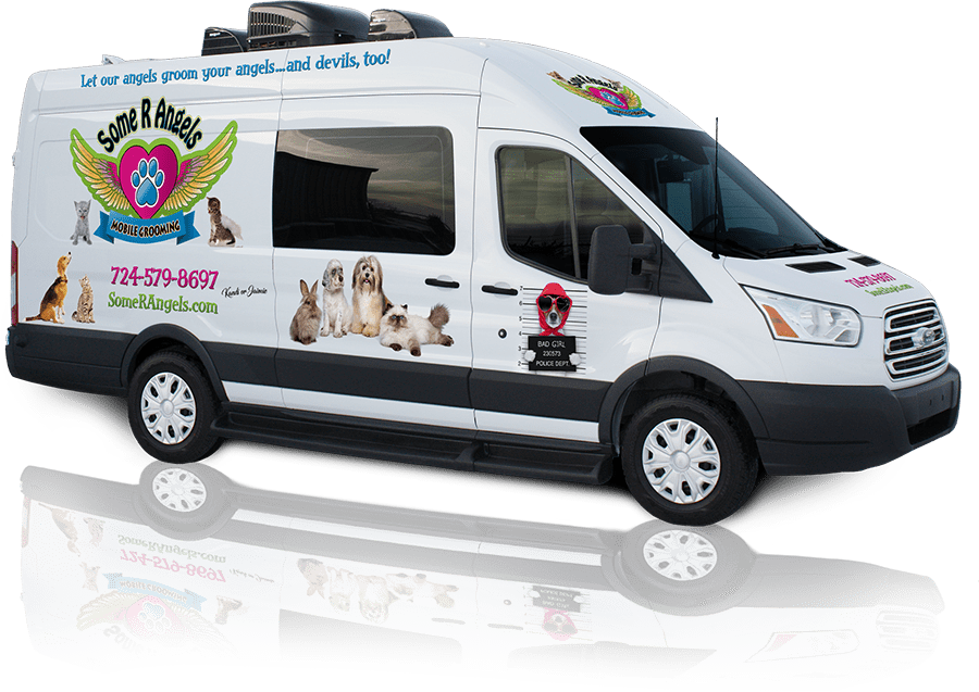 dog grooming that comes to you